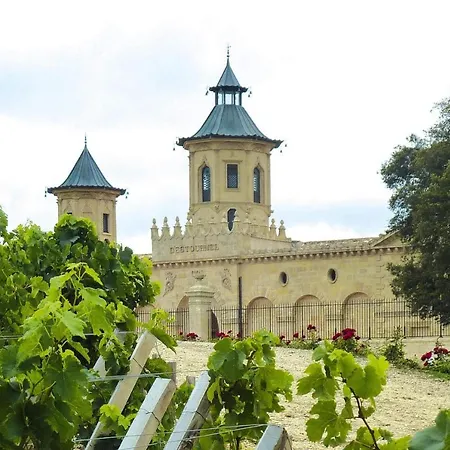 Hébergement de vacances Semi-detached House On A Vineyard,
