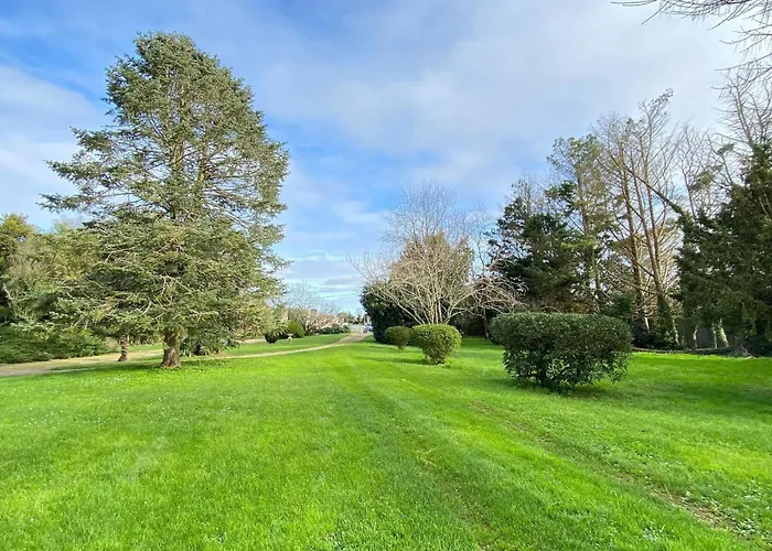 Semi-detached House On A Vineyard, *